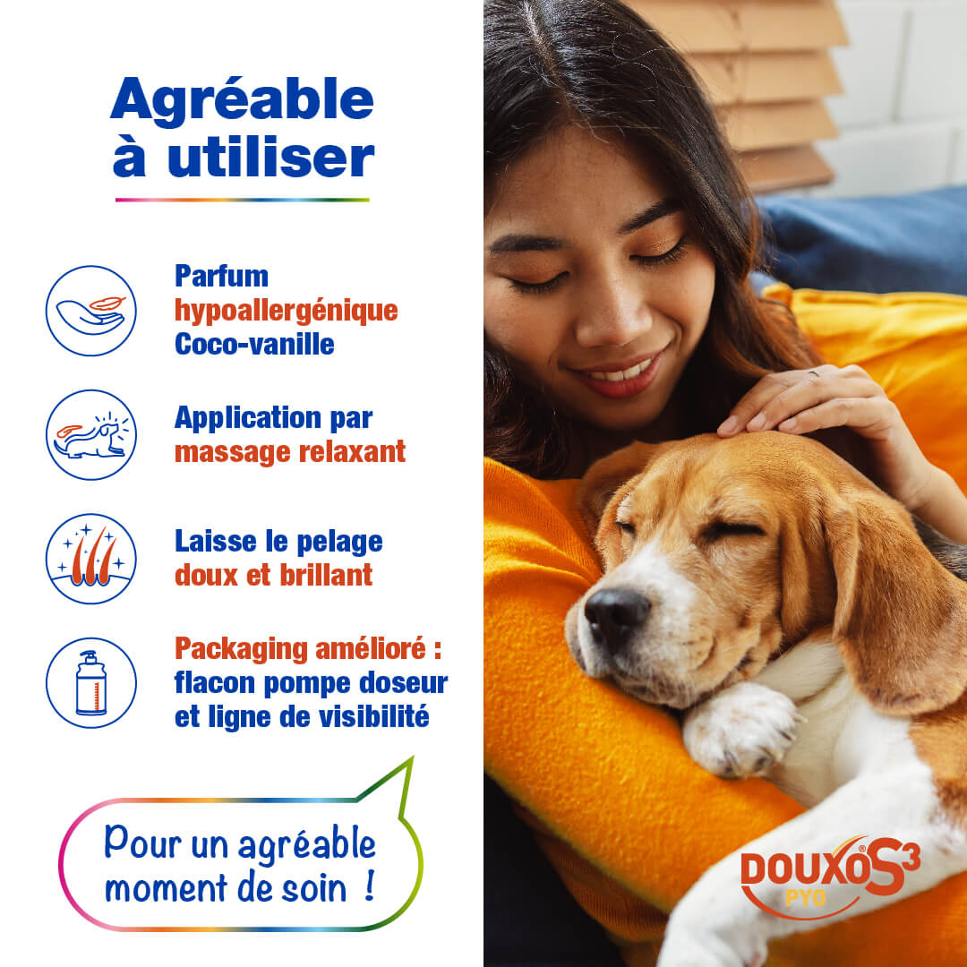 Irritations & boutons - Routine classique grand chien