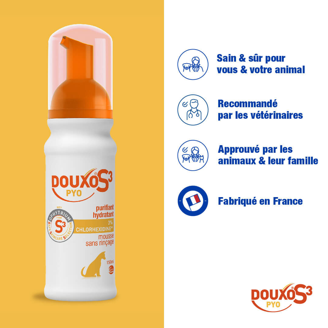 DOUXO® S3 PYO Mousse