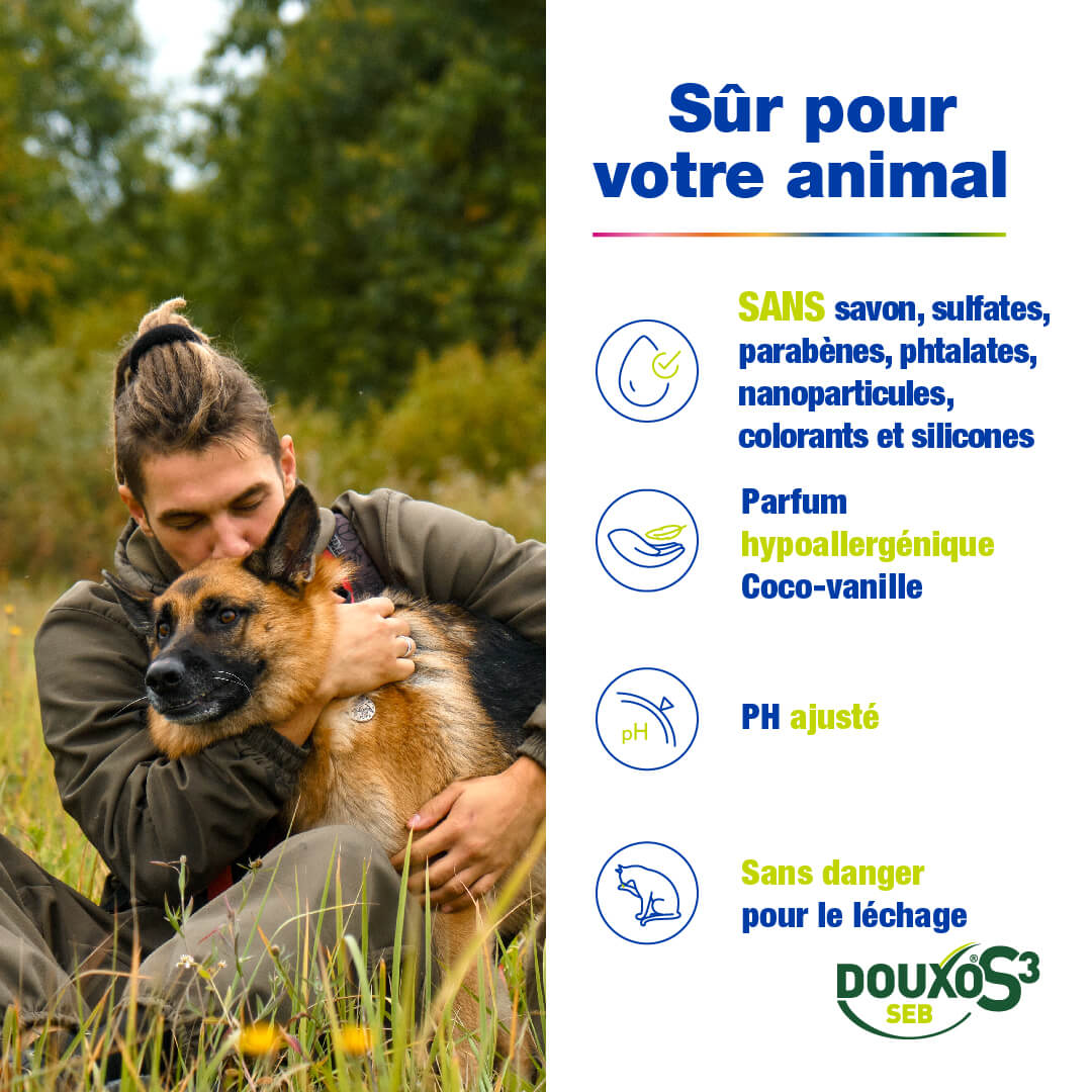 Pellicules et odeurs - Routine classique grand chien