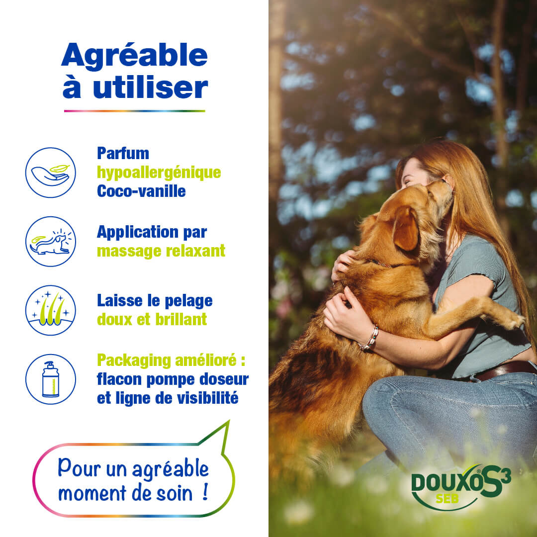 Pellicules et odeurs - Routine classique grand chien