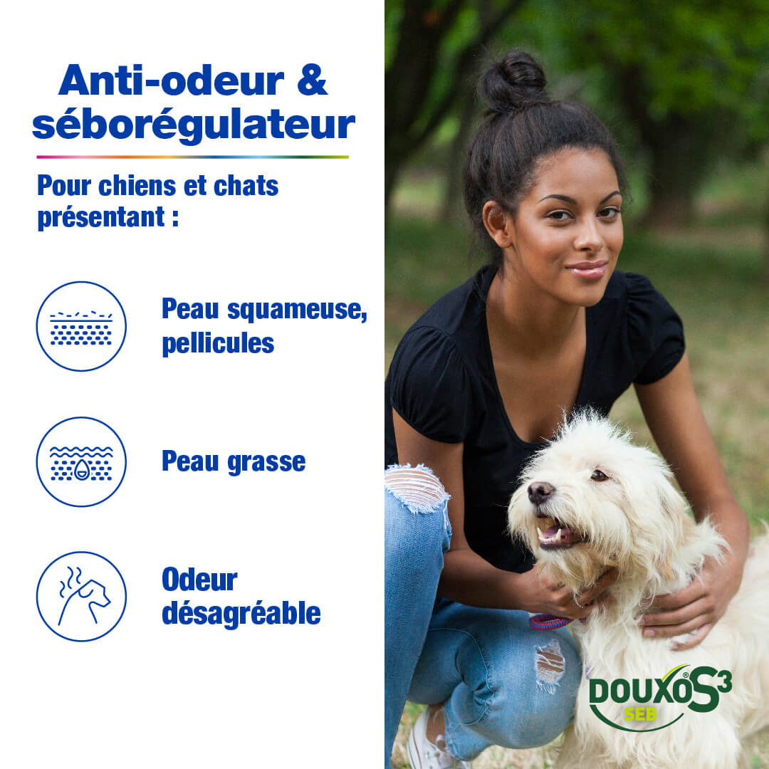 Pellicules et odeurs - Routine classique grand chien