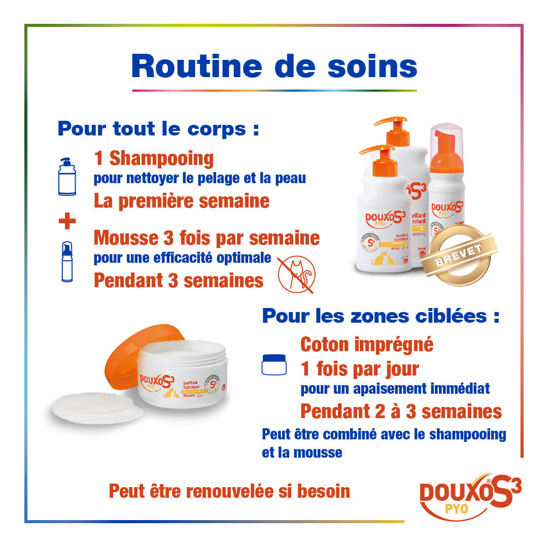 Irritations & boutons - Routine classique Petit chien / chat